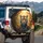 Golden Hour Bengal Tiger Tropical Jungle - Home Decor Gift for Tiger Lover Spare Tire Cover - 3