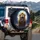 Majestic Roaring Lion Full Moon Savanna - Wildlife Lover Gift Spare Tire Cover - 3