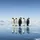 Emperor Penguins Reflective Ice Plane - Wildlife Lover Gift Spare Tire Cover - 6