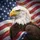 Bald Eagle American Flag Independence Day Gift for Veterans Spare Tire Cover - 6