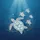 duiyfppz/products/6a1025109e316046cf23438b/gallery/X8Pf_1c-oB