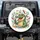 Green Alligator Magnifying Glass Lab Beakers Butterflies Moons Stars - Science Lover Gift Spare Tire Cover - 1