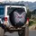 Black Gemstone Jewel Butterfly Metallic Filigree Light Swirls Travel Essentials Spare Tire Cover - 3