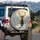 Majestic Bull Elk Snowy Mountain Forest - Wildlife Lover Gift Spare Tire Cover - 3