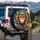 Monkey Face Broad Leaves Feathery Leaves Jungle Vines Berries - Wildlife Lover Gift Spare Tire Cover - 3