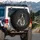 Dalmatian Pointer Mix Dog Resting Orange Toy Ball - Dog Lover Gift Spare Tire Cover - 3