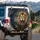 Realistic Lion Head Roaring Savanna Twilight Acacia - Wildlife Lover Gift Spare Tire Cover - 3