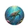 Sunlit Ocean Sea Turtle Striped Tropical Fish Coral Reef - Underwater Wildlife Gift Spare Tire Cover - 4