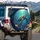 Sunlit Ocean Sea Turtle Striped Tropical Fish Coral Reef - Underwater Wildlife Gift Spare Tire Cover - 3