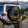Black Bull Golden Horns Swirling Dust - Powerful Wildlife Lover Gift Spare Tire Cover - 3