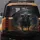 Black Bull Golden Horns Swirling Dust - Powerful Wildlife Lover Gift Spare Tire Cover - 5