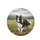 Playful Tri-Color Border Collie Grassy Field Hills Landscape - Dog Lover Gift Spare Tire Cover - 4