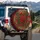Red Rose Green Foliage Leopard Print - Everyday Home Decor Gift for Rose Lovers Spare Tire Cover - 3