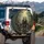 Brown Bear Cubs Forest Path Ancient Rainforest Mist Mossy Rocks - Wildlife Lover Gift Spare Tire Cover - 3