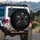 Pentagram Skulls Bones Bone Fragments Skeletal Tendrils - Dark Fantasy Decor Gift Spare Tire Cover - 3