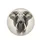 Majestic Elephant Head Ivory Tusks Portrait - Wildlife Lover Home Decor Gift Spare Tire Cover - 4