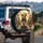 Indian Elephant Fountain Architecture Garden - Home Decor Gift for Wildlife Lovers Spare Tire Cover - 3