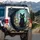 Black Cat Wildflower Forest - Outdoor Nature Gift for Cat Lovers Spare Tire Cover - 3