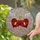 duiyfppz/products/6a1031079240ef94f5d5daed/gallery/HZIhRiVp03