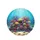 Coral Reef Fish Starfish Ocean Scene - Wildlife Lover Gift Spare Tire Cover - 4