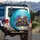 Coral Reef Fish Starfish Ocean Scene - Wildlife Lover Gift Spare Tire Cover - 3