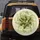 Densely Arranged Whole Organic Dill Pickles & Dill Flower Heads - Home Decor Gift for Food Lovers Spare Tire Cover - 5
