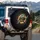 Smiling Sea Turtle Bursting Wall Cracks Dark Void - Wildlife Ocean Lover Gift Spare Tire Cover - 3