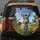 Fluffy Young Donkey Wildflower Meadow - Farmhouse Decor Gift for Donkey Lover Spare Tire Cover - 5
