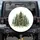 Christmas Tree Forest Holly Winter - Christmas Holiday Gift Spare Tire Cover - 1