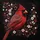 Cardinal Bird Red White Floral Scrollwork - Wildlife Lover Gift Spare Tire Cover - 6