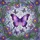duiyfppz/products/6a103349db14a7853c978a31/gallery/kvhVOX_t0U