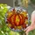 duiyfppz/products/6a1033580d55d66f9b8540d9/gallery/OZVEqDyOHf