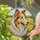 duiyfppz/products/6a1033bddb14a7dfa4978bc3/gallery/EESNHSLQTg