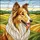 duiyfppz/products/6a1033bddb14a7dfa4978bc3/gallery/MgOSk-yZP5