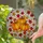 duiyfppz/products/6a1034569240efbd13d5e548/gallery/ZKBqEEICk9