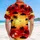 duiyfppz/products/6a1037c3dab8c676fce9ad84/gallery/W4u6G5Qp61