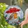 duiyfppz/products/6a10382487f9362ff90f4b80/gallery/6OPU5IqZfq