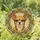 duiyfppz/products/6a1038587c7cceb07d7ca30b/gallery/YLA_D95dWF