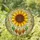 duiyfppz/products/6a103aab788d2de4aa57eee5/gallery/9_yUgVtms0
