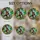 duiyfppz/products/6a103ce34086788a6d6293a1/gallery/HiaD5X_gz5
