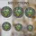 duiyfppz/products/6a103e87788d2d5cbc57f5ff/gallery/oW_7vauQsO