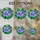 duiyfppz/products/6a103f1040867802e8629701/gallery/MM-FXdPoFI
