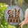 duiyfppz/products/6a104292202e19b2985c95b3/gallery/TKeLCY5Id4