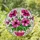 duiyfppz/products/6a10465a788d2d26bc57fea3/gallery/_4D1RbPftb