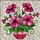 duiyfppz/products/6a10465a788d2d26bc57fea3/gallery/tCePL7gmI6