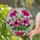 duiyfppz/products/6a10465a788d2d26bc57fea3/gallery/yEaWrbQ6Mv