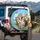 Expressive Domestic Cats Wildflower Meadow Monarch - Pet Lover Gift Spare Tire Cover - 3