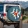 Flock of Flying Japanese Red-crowned Cranes Teal Blue Wildlife Lover Gift for Bird Lovers Spare Tire Cover - 3