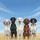 Five Proud Majestic Dogs Diverse Colors Blue Sky Clouds - Wildlife Lover Gift for Dog Lovers Spare Tire Cover - 6
