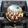 Guinea Pigs Group with Cityscape and Palm Trees Window View - Pet Lover Gift Spare Tire Cover - 1
